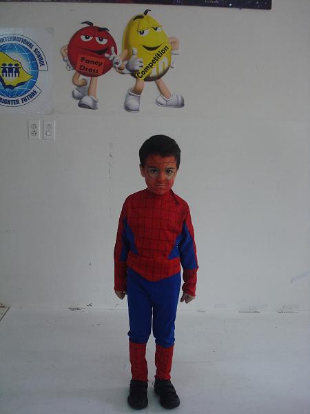 fancy dress 020.jpg